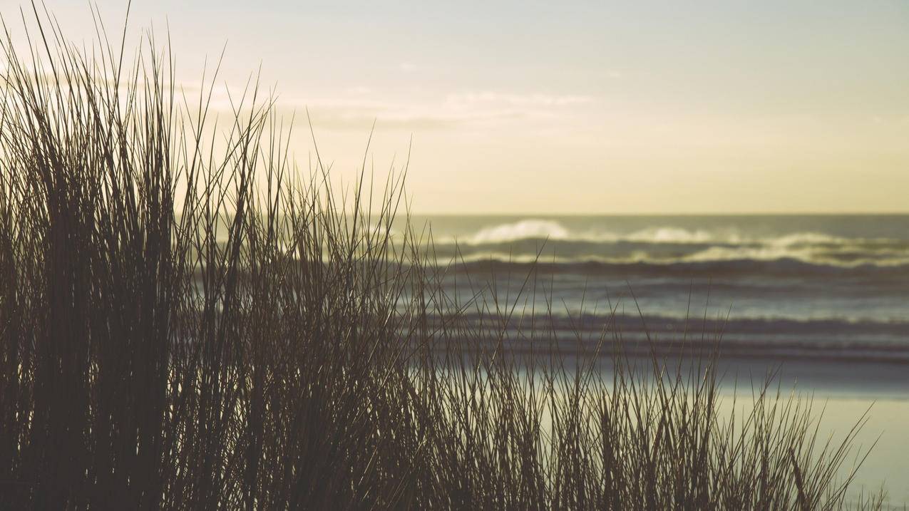 Home